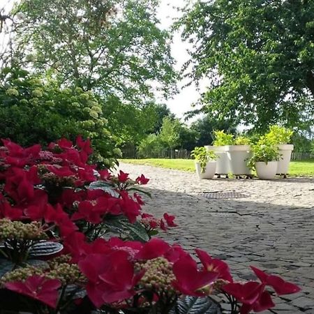 Country House Clos Des Hortensias Blegny Bagian luar foto